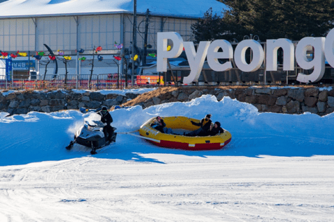 Uit Seoel: Pyeongchang ForelfestivalGroepstour, verzamelen bij Hongik University Station