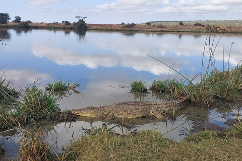 Park Narodowy Nairobi: półdniowa wycieczka wspólna lub prywatnaPark Narodowy Nairobi: półdniowa wycieczka grupowa z odbiorem