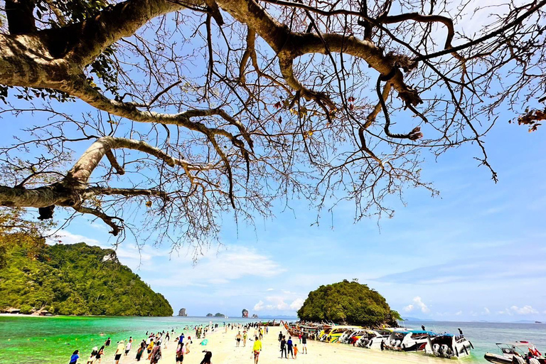 Krabi: Dagtrip 4 eilanden per Premium Longtail Boot met Lunch