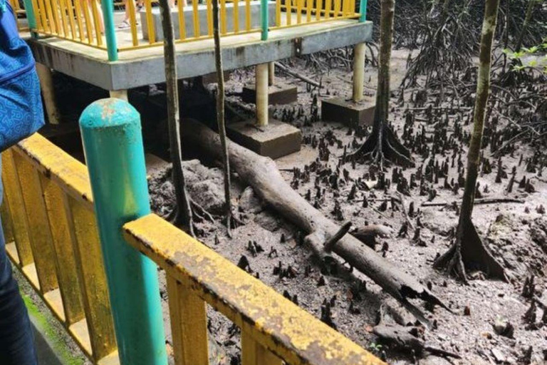 Langkawi: Kilim Geoforest Mangrove Tour with Fishing Trip Mangrove tour & Fishing 1-9 person