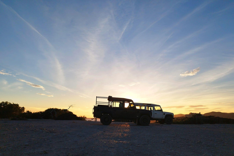 Ibiza: Utforskning av ön med jeepsafari5-timmars Jeep Safari-tur med upphämtning från San Antonio