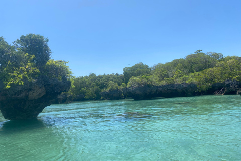 Sansibar: Safari Blue Tagesausflug mit Schnorcheln und Mittagessen