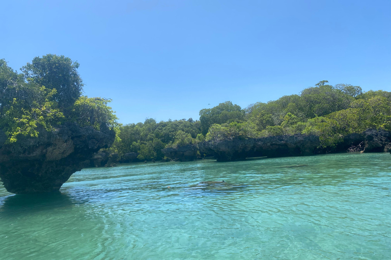 Sansibar: Safari Blue Tagesausflug mit Schnorcheln und Mittagessen