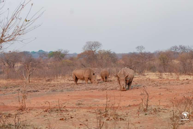 Livingstone :Sunset Game Drive and Rhino tracking With Drink