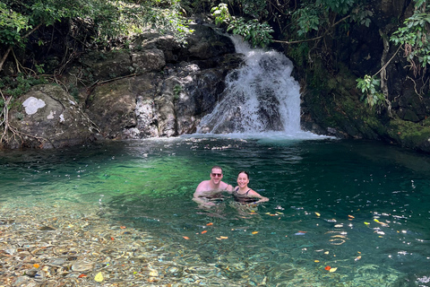 Da Nang/Hoi An: Hai Van Pass Motorbike Tour with Easy Rider From Hue to Da Nang/Hoi An (1-way trip)