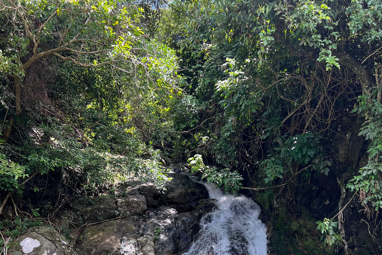 Da Nang/Hoi An: Hai Van Pass Motorbike Tour with Easy Rider From Hue to Da Nang/Hoi An (1-way trip)