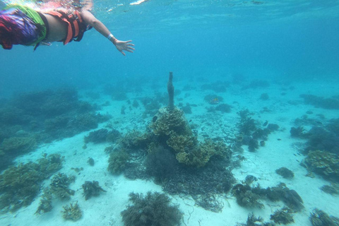 Isla Mujeres: Passeio de catamarã, mergulho com snorkel, bufê e open barPasseio de Tulum