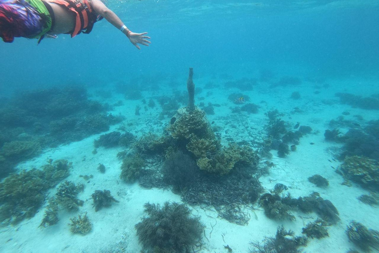 Isla Mujeres: Passeio de catamarã, mergulho com snorkel, bufê e open barPasseio de Tulum