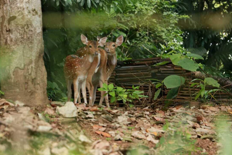 Colombo: Spotted Deer Tour with Meal and Hotel Transfer
