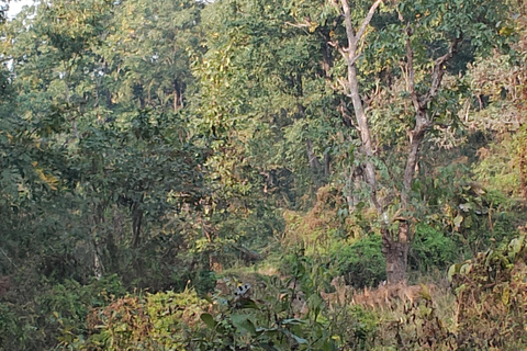 3 Noches 4 Días Parque Nacional de Chitwan con Estancia Nocturna en la Torre