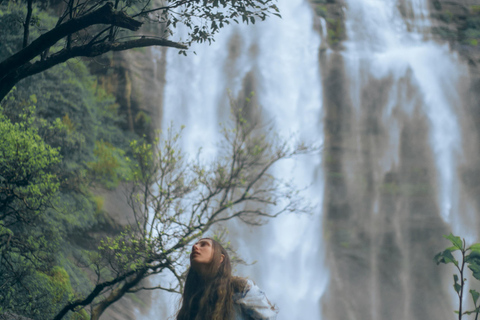 Colombo to Aberdeen Falls Train Tour with private vehicle