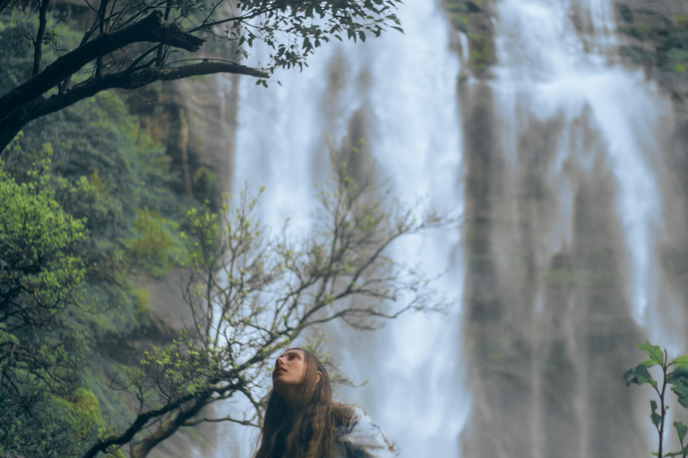 Colombo to Aberdeen Falls Train Tour with private vehicle