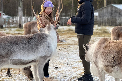 Levi Wilderness Twilight Adventure