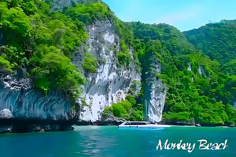 Phuket: Phi Phi, Maya, Khai oder Maiton oder Bamboo Island TourPhi Phi, Maya, Khai Island Tour mit dem Schnellboot