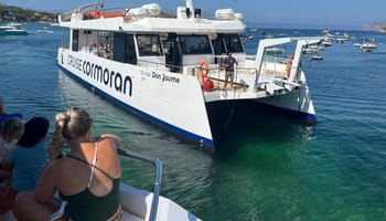 The BEST Palma Nova Tours and Things to Do in 2024 - FREE ...