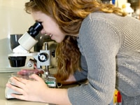 TIMMENDORFER STAND, VIDA SEAR ALTO NASCESSO - Housity