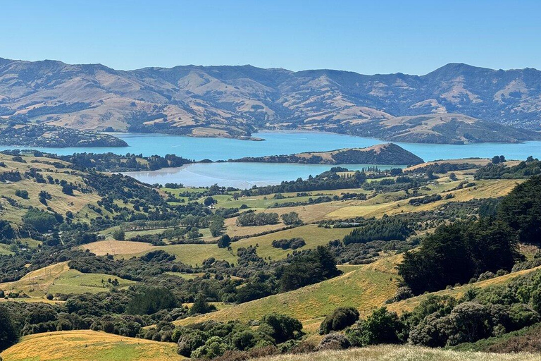 Akaroa Day Tour From Christchurch