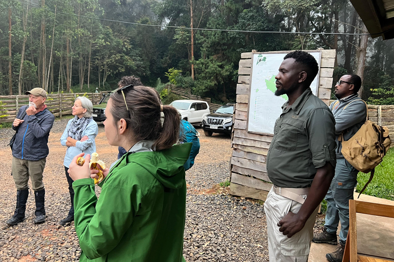 Viagem de 1 dia ao Ruanda, Uganda e Congo (RDC) para fazeres um trekking aos gorilas