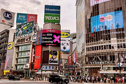 Tokyo Private Sightseeing Tour Customizable with Guide