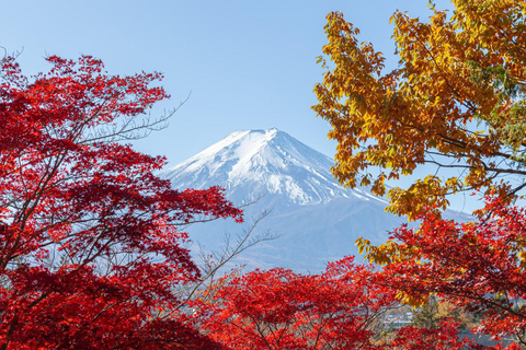 Tokyo: Mt Fuji, Arakura Sengen Park, Oshino Hakkai Bus TourFrom Shinjuku to Mt Fuji at 8:30AM