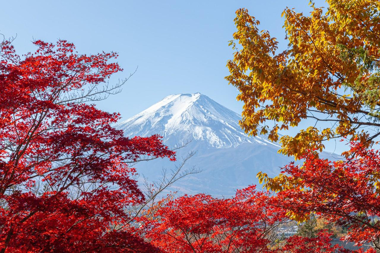 Tóquio: Monte Fuji, Parque Arakura Sengen, excursão de ônibus Oshino HakkaiDe Shinjuku para o Monte Fuji às 8:30h