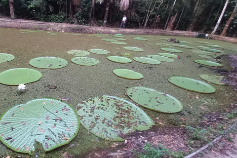 The Heart of the Amazon in One Day (The Most Complete Tour) Exclusivity