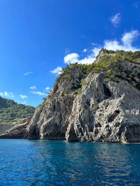 Alcudia Gita In Barca Con Cibo Bevande E Snorkeling Getyourguide