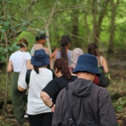Jungle Trekking in West Bali National Park