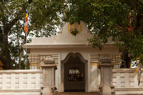 Sigiriya to Wilpattu Safari & Anuradhapura Cultural Day Tour