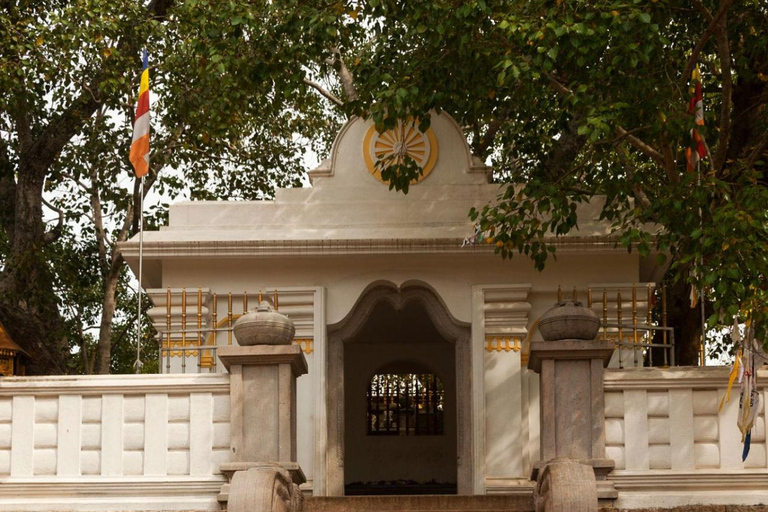 Sigiriya to Wilpattu Safari & Anuradhapura Cultural Day Tour