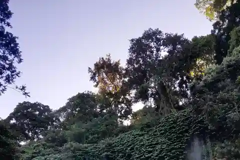 Gita di mezza giornata alle cascate e ai campi di riso