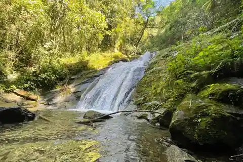 Vista Nieves: Guided Hike on Private Reserve with Transport
