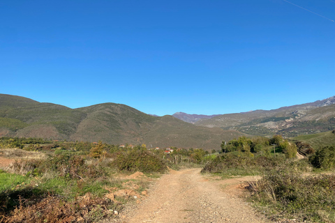 From Tirana/Durres: THINK GLOBAL, ACT AS A LOCAL