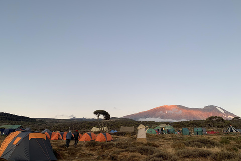 Kilimanjaro: 2-Day Shira Plateau and Peak Trek with Camp