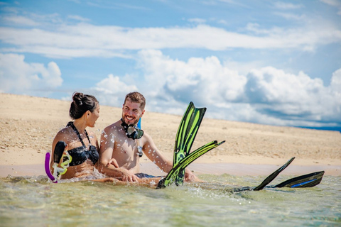 Cairns: Snorkel & Dive a Secluded Great Barrier Reef Island Fully Inclusive Tour with Tropical Buffet Lunch