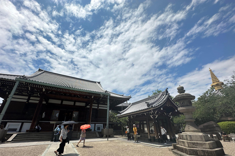 Osaka: Tour combinado dos templos Shitennoji e Isshinji, 2,5h