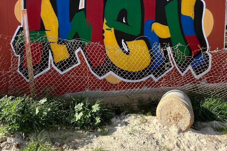 Authentic Township Tour Cape Town Authentic Township Tour Cape Town (English Guide)