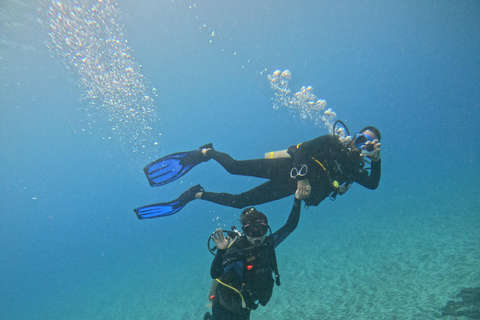 Isla de Pascua: Buceo recreativo-turístico personalizado