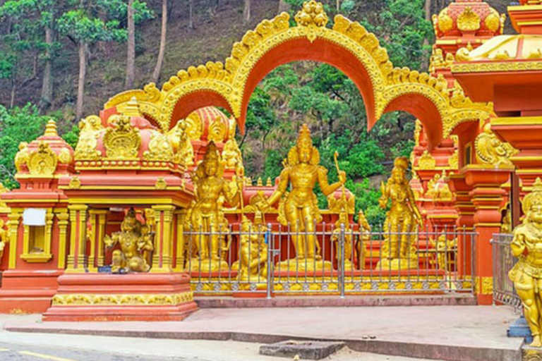 Trip from Kandy to Ambewela Railway Station via Nuwara Eliya Kandy to Nuwara Eliya and Ambewela Drop tour by car or van