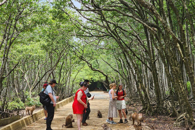 Excursão de 1 dia à floresta de mangue de Can Gio e à Ilha dos Macacos