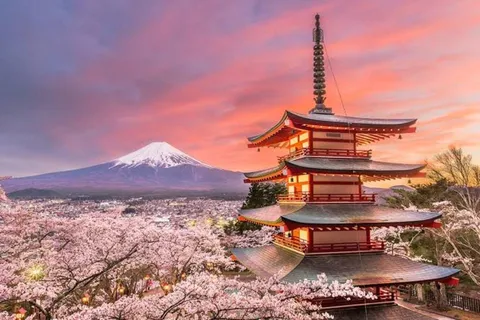 From Tokyo: Mt. Fuji or Hakone Sightseeing Private Day Tour