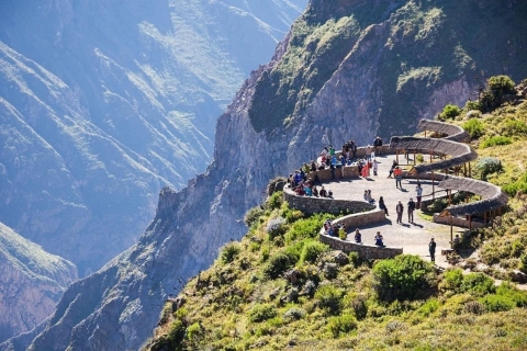 Desde Arequipa: Día completo al Cañón del Colca