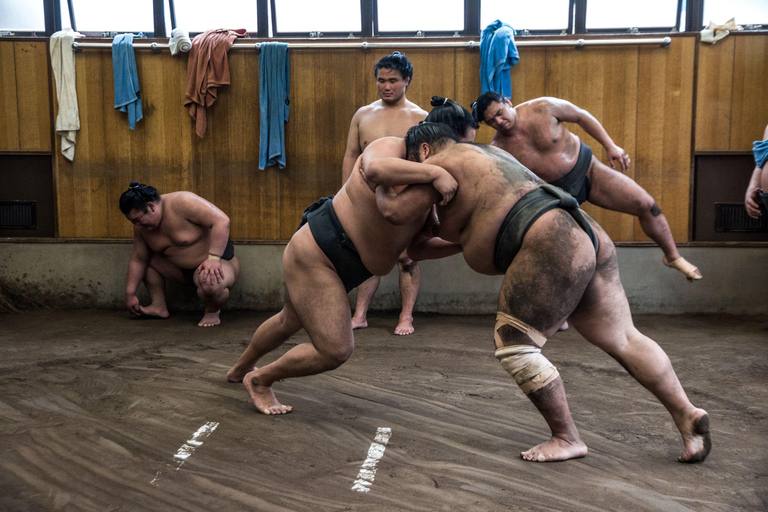 Tokio: wycieczka z pokazami porannych ćwiczeń sumoTokio: Poranna wizyta w stajni Sumo