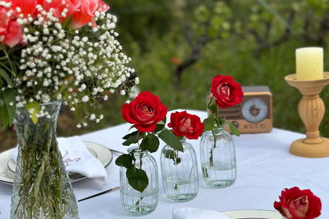 Dinner in the vineyard French Riviera