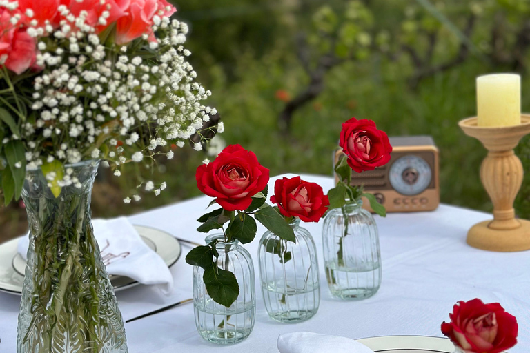 Dinner in the vineyard French Riviera