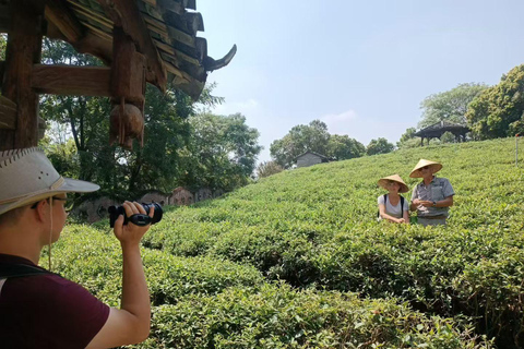 Guilin: Private Longji Rice Terraces & Reed Flute Cave Tour