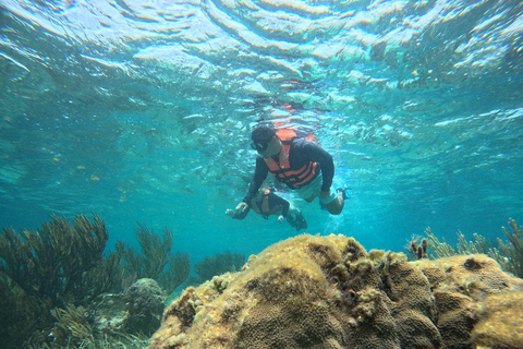 Cancun : Visite privée de Puerto Morelos (mer et jungle)