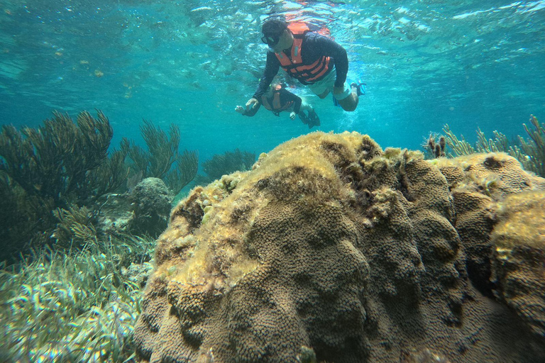 Cancun: Morze i dżungla - prywatna wycieczka do Puerto Morelos