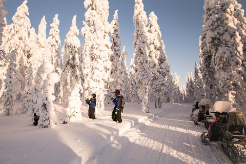 Levi: 4 Hour Snowmobile Safari to the Fells in Levi