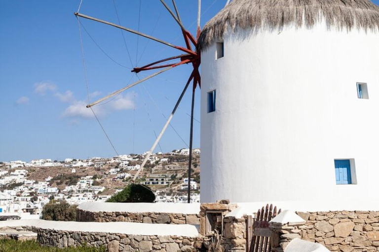 Highlights of Mykonos: Guided 4-Hour Island Adventure